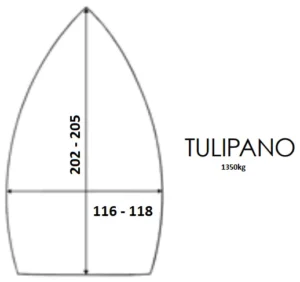 medidas sapata ferro tulipano